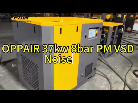 Prueba de ruido de 37kw 8bar